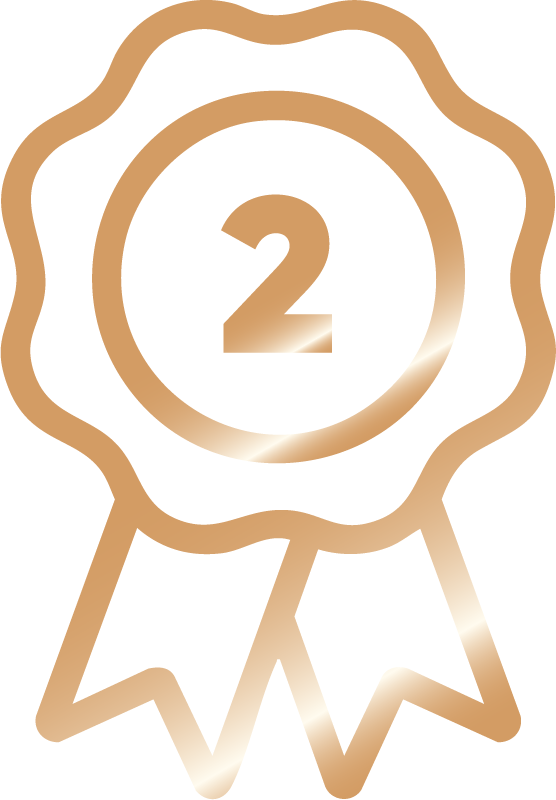 Segundo Lugar